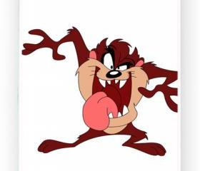 Tazmania Devils iPhone 5 Mobile Phone Hard Case Cover
